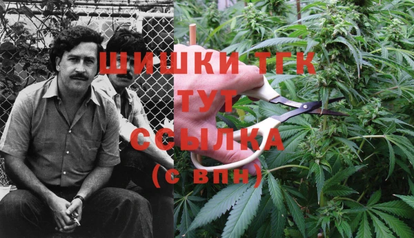 mix Богородск