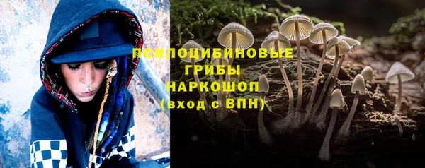 метамфетамин Богородицк