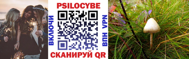 Галлюциногенные грибы ЛСД Торжок