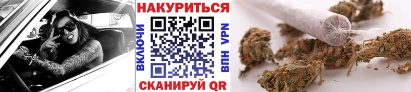 Бошки Шишки план  Торжок 